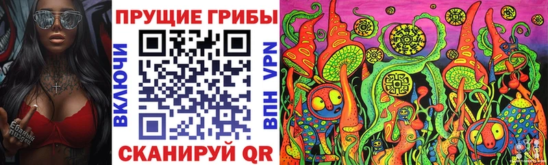OMG сайт  Назарово  Псилоцибиновые грибы GOLDEN TEACHER 